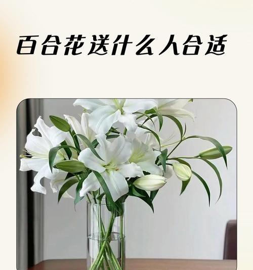 泰佛供奉百合花的寓意是什么？百合花在佛教中的象征意义有哪些？