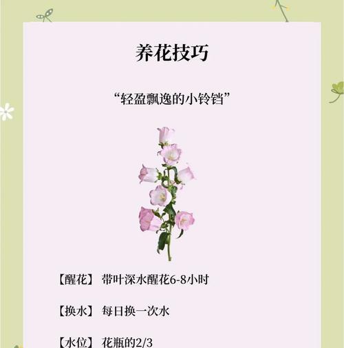 风铃寓意及花语是什么？如何挑选寓意吉祥的风铃？