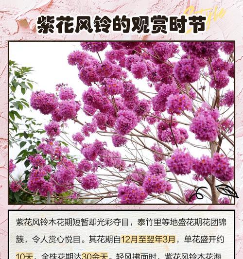 风铃寓意及花语是什么？如何挑选寓意吉祥的风铃？
