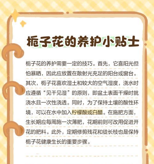 栀子花的不吉利寓意是什么？如何避免这些象征意义？