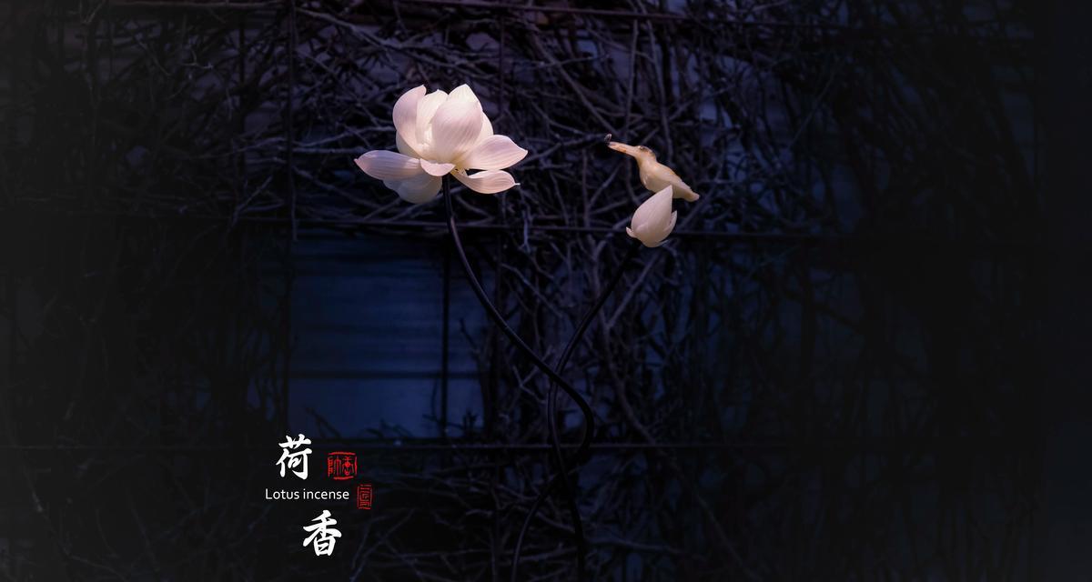 花小摆件的寓意是什么意思？如何挑选寓意吉祥的花小摆件？