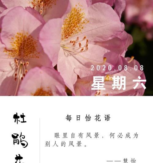 杜鹃花花语代表什么含义？如何正确理解杜鹃花的花语？