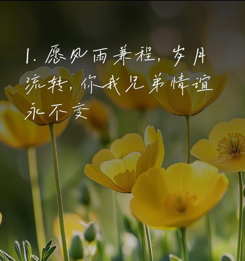 象征着结拜兄弟的花朵是什么花？这种花的花语有哪些含义？