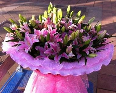 紫色百合花花语是什么？如何表达爱意和祝福？