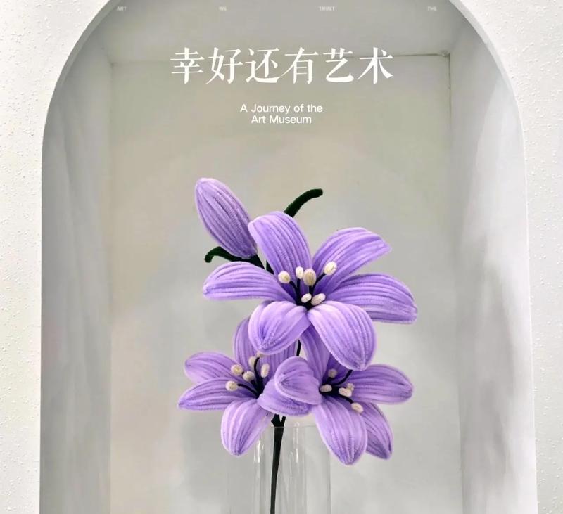 紫色百合花花语是什么？如何表达爱意和祝福？