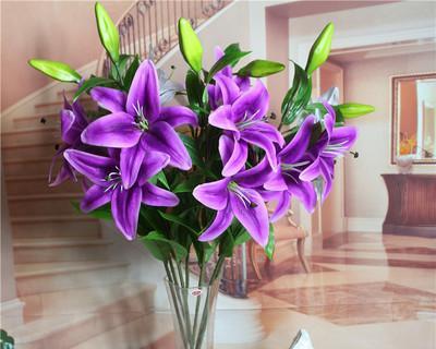 紫色百合花花语是什么？如何表达爱意和祝福？