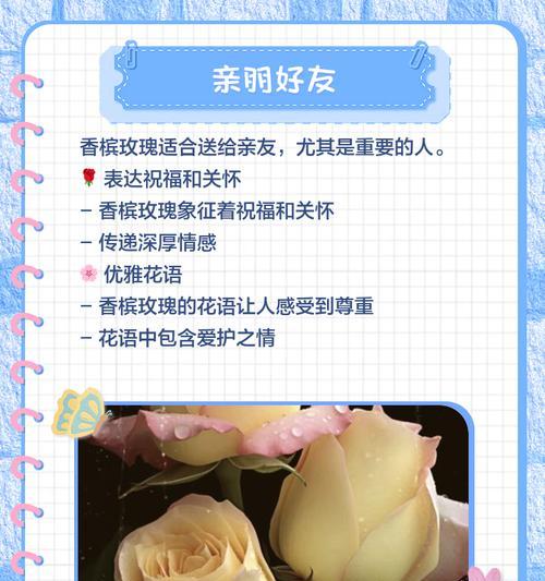 香槟色玫瑰代表什么？花语含义有哪些？