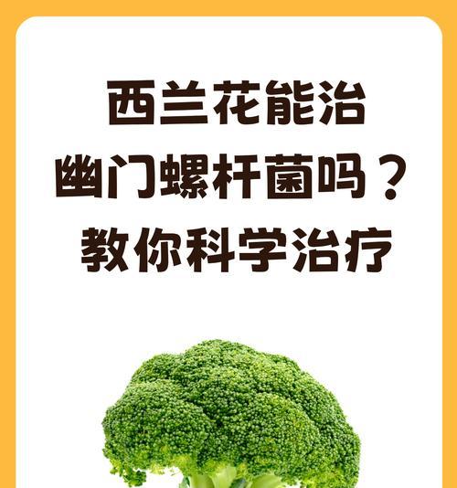 西兰花的花语是什么？了解西兰花的象征意义和用途？