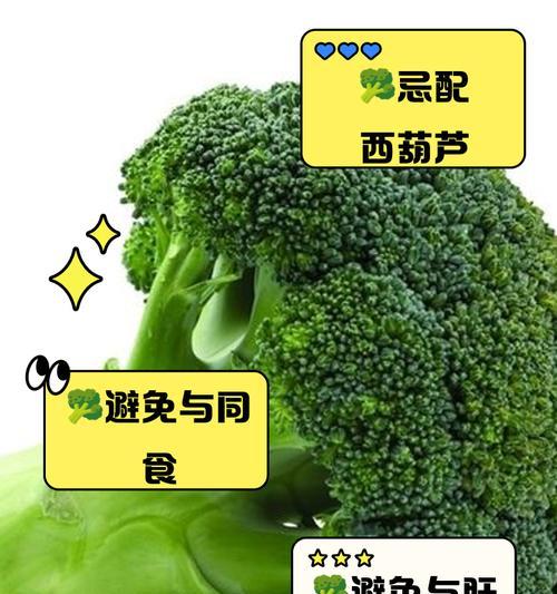 西兰花的花语是什么？了解西兰花的象征意义和用途？