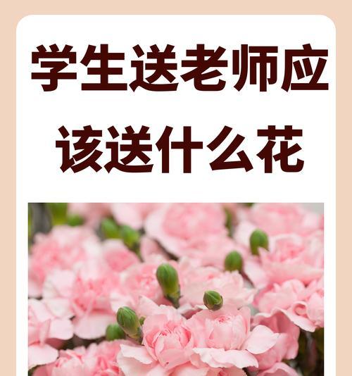 小束花的寓意和象征是什么？如何挑选代表不同情感的花束？
