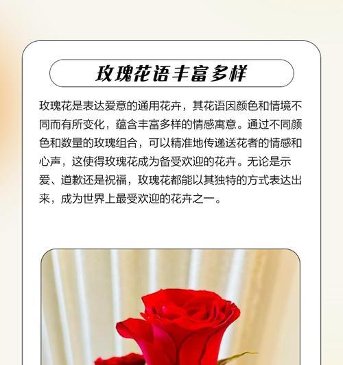 陈皮玫瑰花代表什么？花语和寓意有哪些？
