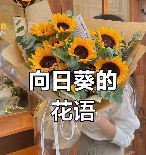 花语民俗意思是什么？如何理解各种花卉的民俗含义？