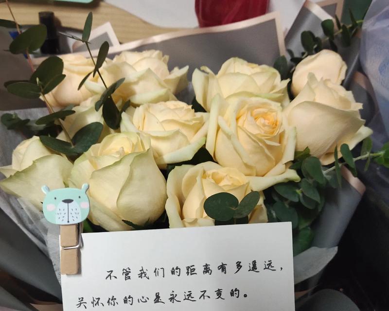 干花小南瓜的花语是什么？如何用它表达情感？
