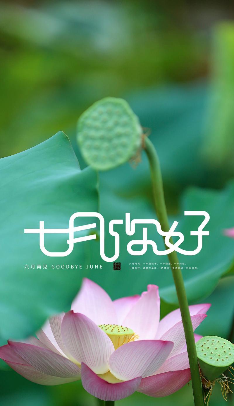 七月的花语是什么花？如何根据月份选择花卉？