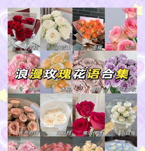 29朵玫瑰花代表什么意思？花语背后的爱情寓意是什么？