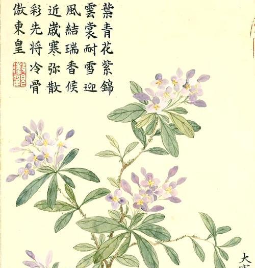 瑞香花的花语是什么？如何正确解读瑞香花的含义？