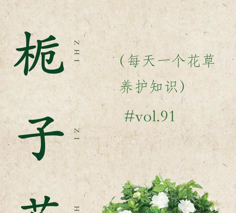大朵牡丹栀子花的寓意是什么？如何正确解读其象征意义？