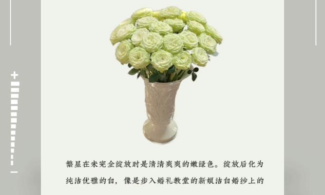 爱情绽放花语是什么？如何解读花语中的爱情含义？