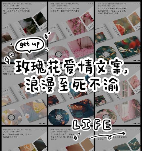 爱情绽放花语是什么？如何解读花语中的爱情含义？