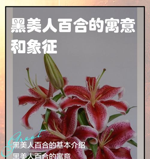 黑的花代表什么？黑的花的寓意和象征有哪些？