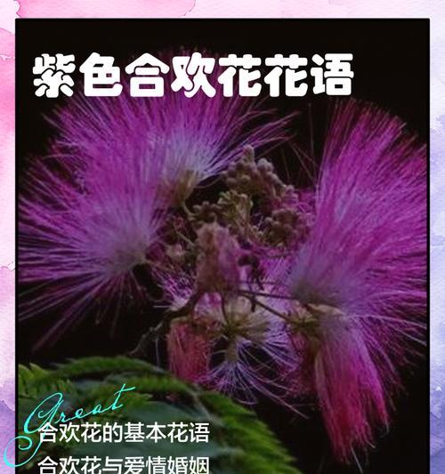 恐怖花花的花语是什么？这种独特花卉背后隐藏的含义是什么？