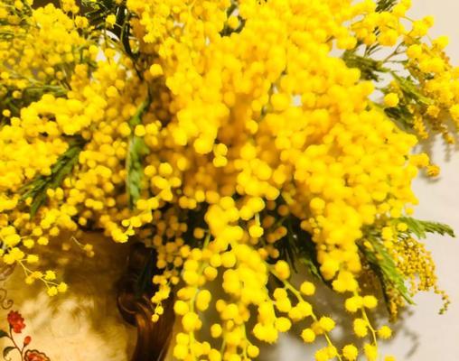 勇敢面对花语是什么？如何理解勇敢面对的花语含义？