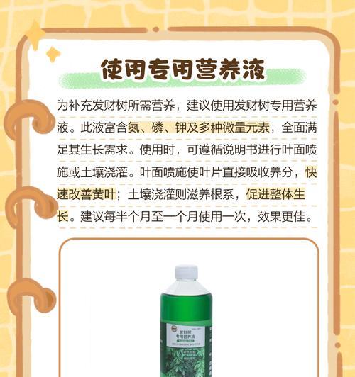 发财树发黄掉叶子怎么救？如何处理发财树的常见问题？