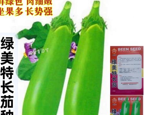 青茄播种的适宜季节是什么时候？