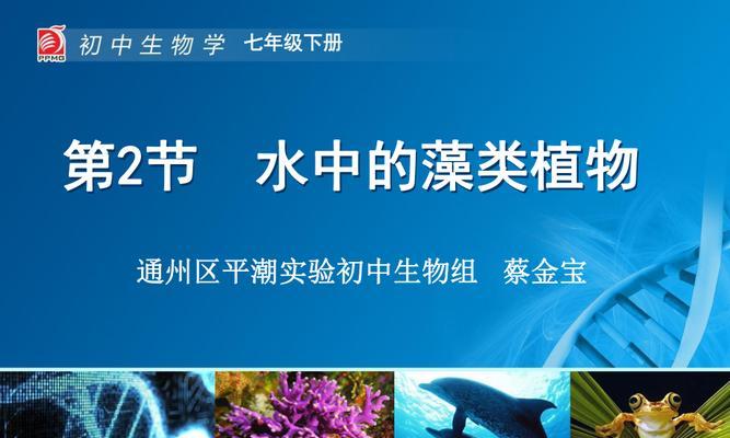 藻类为何被归类为原生植物？