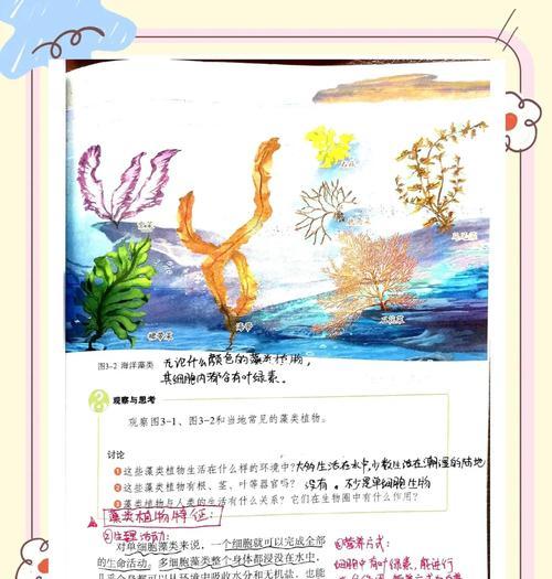藻类为何被归类为原生植物？