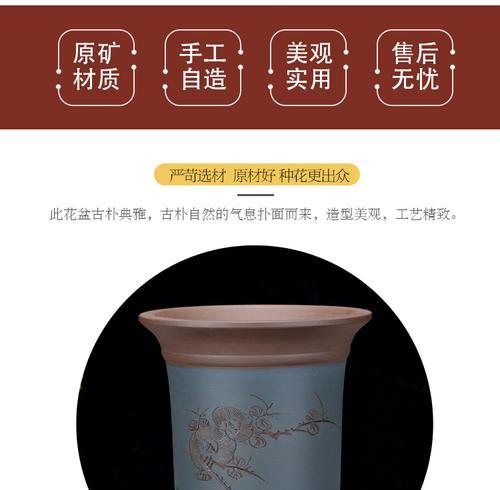 蝴蝶君子兰出箭的最佳时机是什么时候？