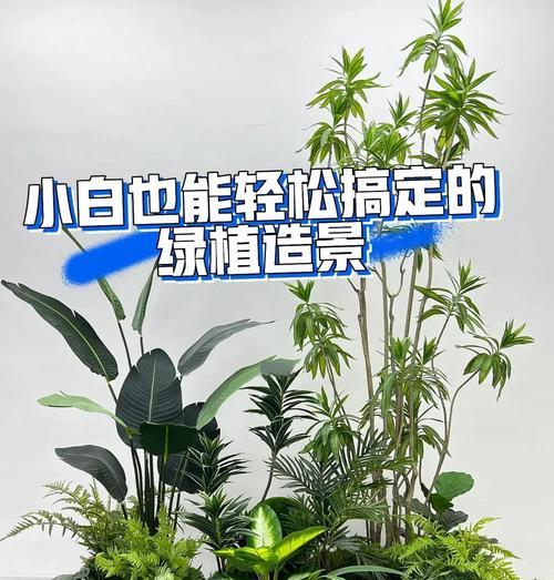 君子兰使用干苔藓养护的方法是什么？