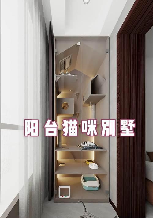 冬天阳台养猫必备花卉？哪些花对猫无害且适合阳台？