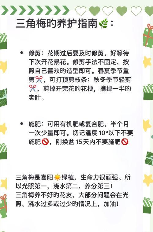 三角梅三四月养护要点是什么？