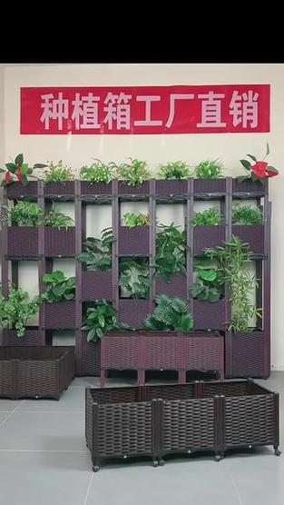 自制李干肥料的步骤和效果如何？