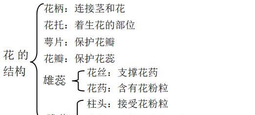 月季花如何取花粉？取花粉的正确步骤是什么？