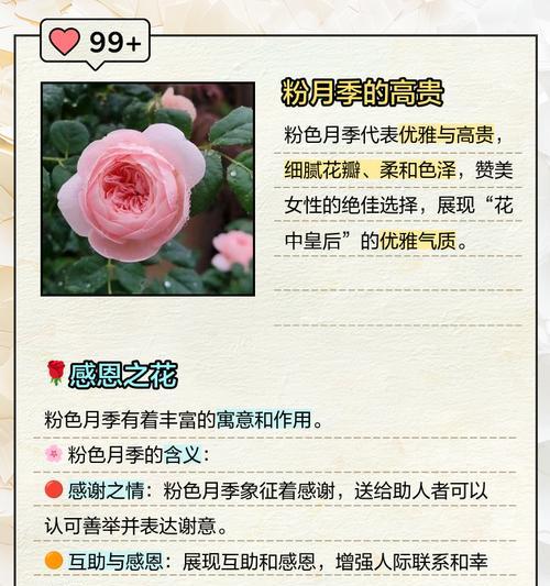 月季花如何取花粉？取花粉的正确步骤是什么？
