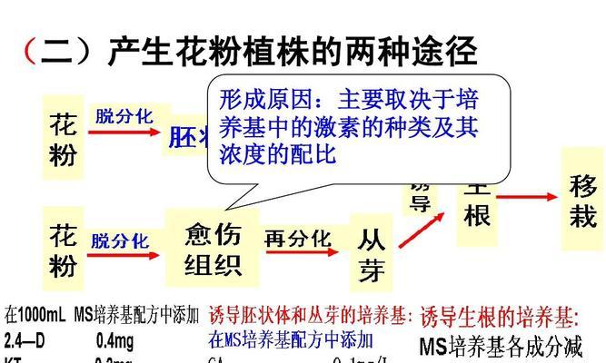 月季花如何取花粉？取花粉的正确步骤是什么？