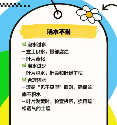 君子兰黄叶根的原因是什么？