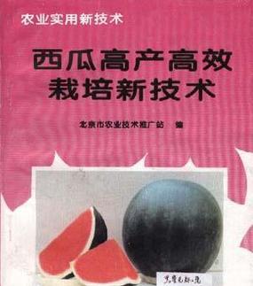 套袋西瓜栽培技术要点有哪些？如何提高西瓜的品质？