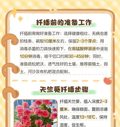 天竺葵老根修剪后不长新芽怎么办？