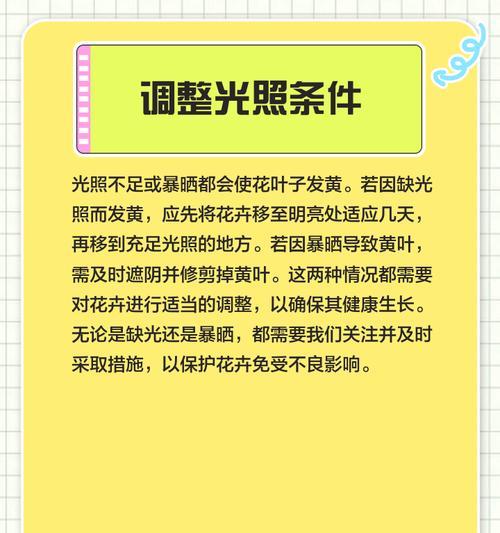 向日葵叶子发黄怎么办？如何在花瓶中正确养护？