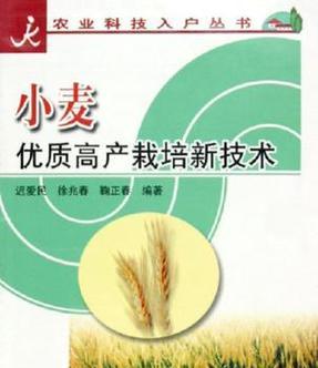 奶油葡萄栽培技术要点有哪些？如何实现高产优质？