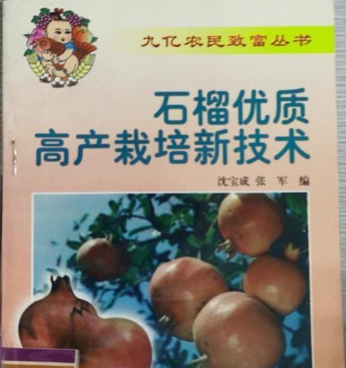 奶油葡萄栽培技术要点有哪些？如何实现高产优质？