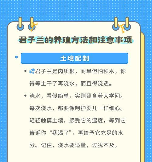 君子兰和鸢尾花的区别是什么？如何正确养护？