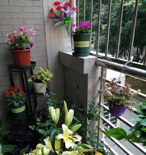 西照阳台适合种植哪些花卉？