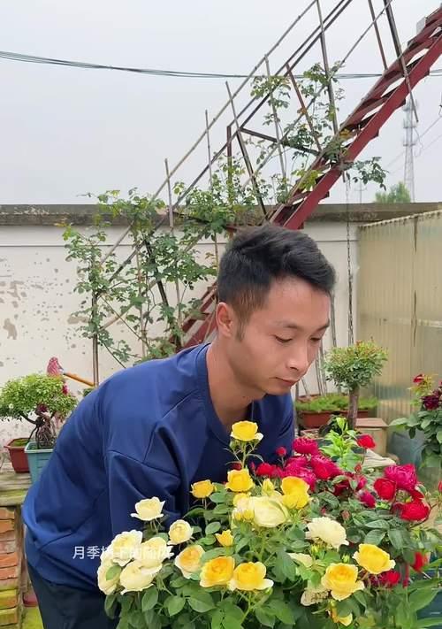 自制肥料正确浇灌花卉的方法？