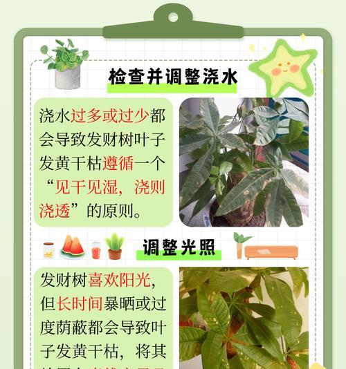 苹果树浇水过多叶子发黄如何处理？