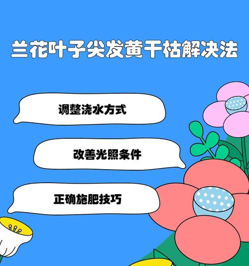 如何栽培兰花以避免叶子发黄？