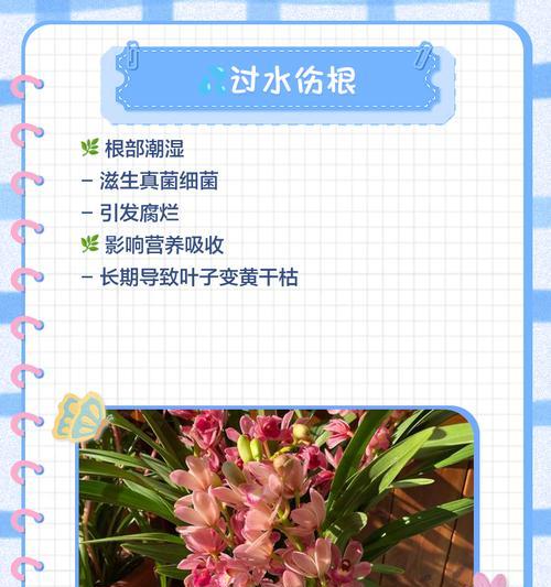 如何栽培兰花以避免叶子发黄？